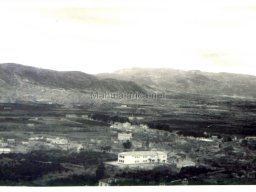 Mula Antigua serie-2